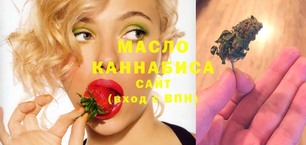 индика Вязники