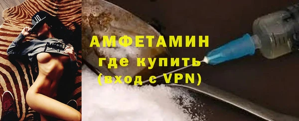 индика Вязники