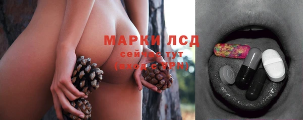 индика Вязники