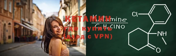 индика Вязники