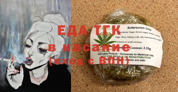 индика Вязники