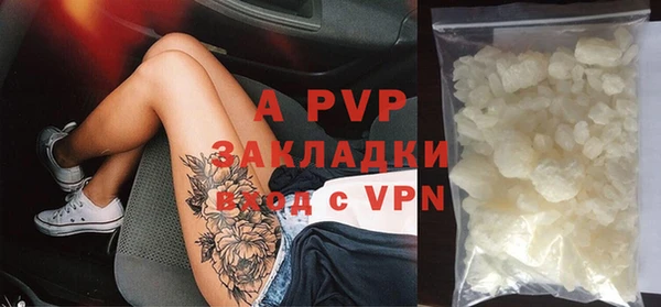 индика Вязники