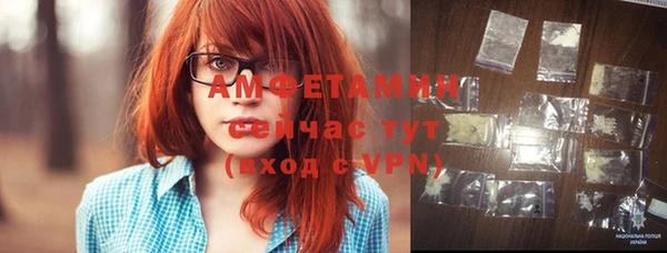 индика Вязники