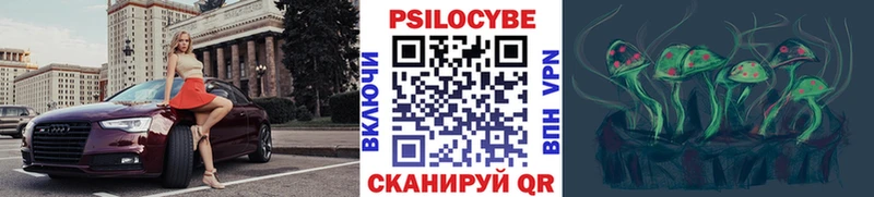 Купить закладки  Георгиевск  Псилоцибиновые грибы GOLDEN TEACHER 